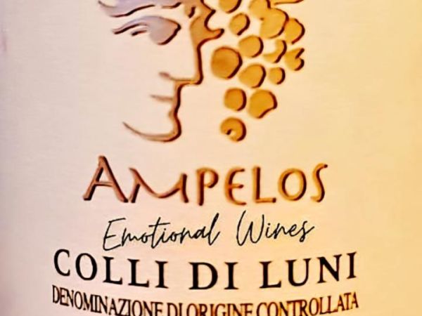 aMPeLoS 2024, iL VeRMeNTiNo FiRMaTo RoSaDiMaGGio…